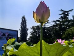 -国家植物园南园