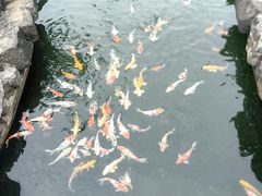 -镇江中国醋文化博物馆