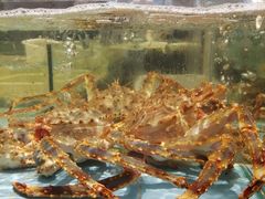 -鼓歌海鲜舫·手抓海鲜(大学城店)