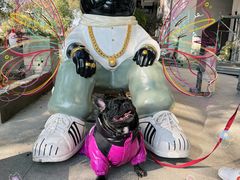 -卢小厨私房菜(长兴店)