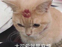 -麦德龙(闵行店)