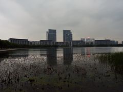 -尚贤河湿地