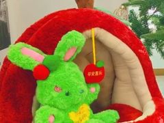 -SIA国际艺术留学·作品集辅导(海淀校区)