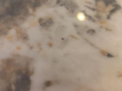 -高玛纳驴肉火烧(一世界店)