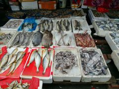 -芦潮港集贸市场