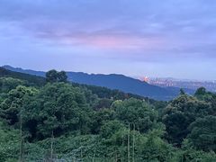 -金水泊山庄·花椒鸡(铁山坪店)