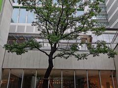 -茑屋书店(天目里店)
