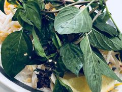 -Pho Song Huong Bankstown
