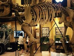 -信不信由你博物馆