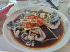 -煲来饱去冷水鱼