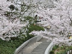 -杭州少年儿童公园