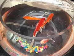 -金豆角砂锅焖面(安贞店)