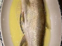 鸡汁长江白鱼-南京大牌档(济南万象城店)