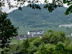 -树山生态村