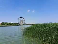 -苏州太湖湖滨国家湿地公园