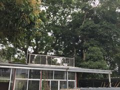 -洞背山庄(洞背院区式管理小区店)