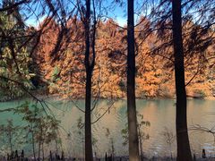 -上海海湾国家森林公园