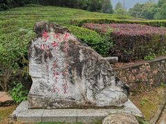 -敬亭山风景名胜区