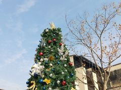 -上海崇明金茂凯悦酒店