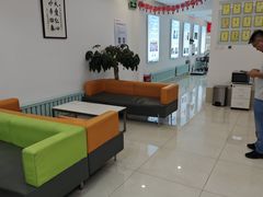 -北京观赏动物医院·24小时大型综合·猫专科·异宠专科