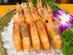 -银子铁板烧料理自助餐(人民广场店)