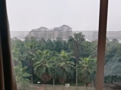 -端艾堂·SPA·艾灸(棕榈泉013店)