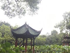 -房湖公园
