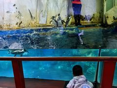 -太平洋海底世界