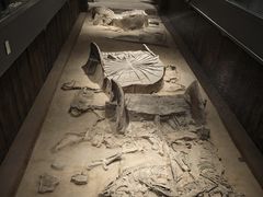 -北京大葆台遗址博物馆