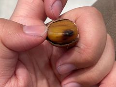 -阿男野栗王(金门路店)