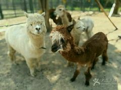 -北京麋鹿生态实验中心