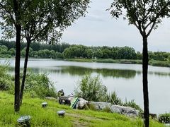 -马家湾湿地公园