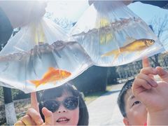 -白塘生态植物园