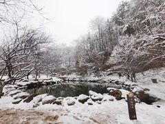 -溪口商量岗景区