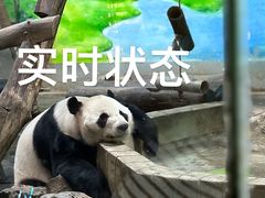 -柳州市动物园