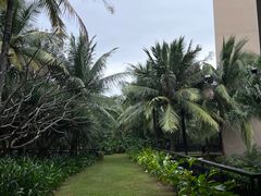 -海南清水湾莱佛士酒店