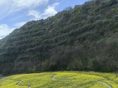 -临平公园(临平街道)