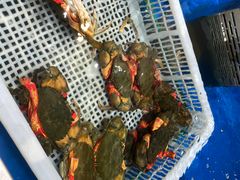 -盒马鲜生(顺义店)