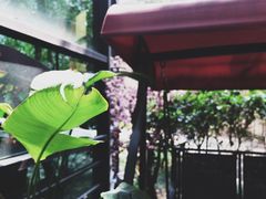 -NLFS1983咖啡花园餐厅(锦桂店)