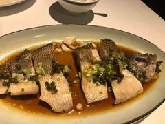 椒汁蒸鲈鱼-禧宴Joyous Restaurant(禧园店)