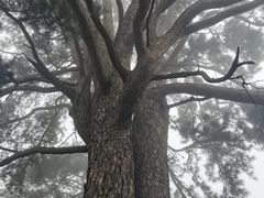 -终南山南五台景区