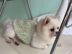 -怪兽屋·羊驼·猫咖·狗咖(俊华广场店)