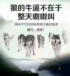 点击看大图 -蚂蚁造型沙龙