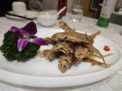 -金米箩大酒店(五角场店)