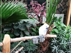 -南宫五洲植物乐园