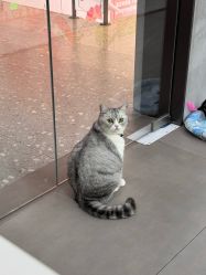 -我舞空间舞蹈培训