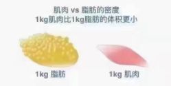 -香薇妮丝·定制减肥·身材管理