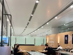 大堂-麦当劳(北京大兴机场二层国内到达(安检外)店)