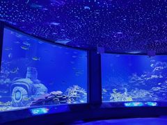-海合安武汉极地海洋公园
