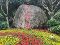 -野狸岛